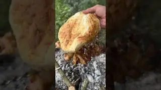 Шашлык из куриных крылышек