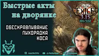 Быстрое прохождение актов на дворянке poe || Обескравливание и лихорадка билд Path of exile