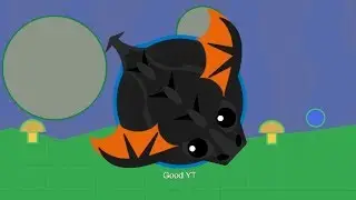 How to Get the Black Dragon? (Mope.io)