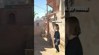 Встречал таких в катке? 