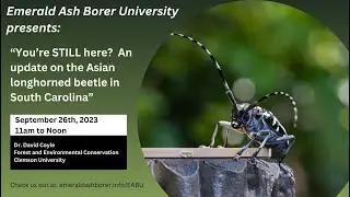 You're STILL here?  An update on Asian longhorned beetle in South Carolina