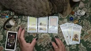 БЕЛАРУСЬ.ЧТО ОЖИДАЕТ? ГАДАНИЕ 2024