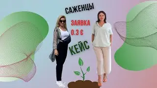 Заявка 0.3 евро Саженцы Тарггтированная реклама