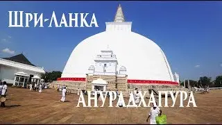 Шри-Ланка #02. Анурадхапура: храмы, пагоды, дерево Бодхи и питон! 12+