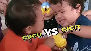 Bikin Ngakak !! Ulah CUCU dan CICIT Saling Rebutan