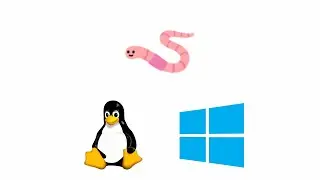 $PATH Environment Variable — Windows & Linux