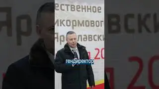 Египетская сила: бизнесмен-фараон запряг сотрудников в колесницу