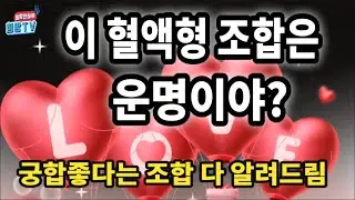 179.[광고]혈액형별 찐궁합 총정리! 연애·우정·비즈니스까지 최고의 조합은?