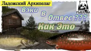 Russian Fishing 4, Ладожский Архипелаг - Вэки, Палия. Русская рыбалка 4 