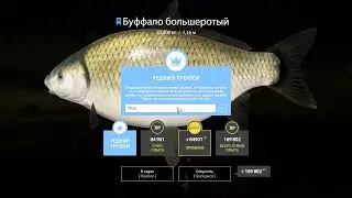Русская рыбалка 4 р.Ахтуба Буффало троф синий #shorts