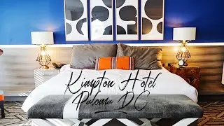 Kimpton Hotel Palomar DC Review (ROYAL SONESTA DC)| THE STEWARTS