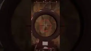 STALCRAFT HK417 жива!