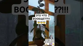 #shorts #шортс #viral #прикол #funny #magic #показалось #клип #шок