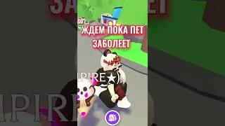 НОВЫЙ КРУТОЙ ПЕТ В АДОПТ МИ!! КАК ЕГО ПОЛУЧИТЬ??😱