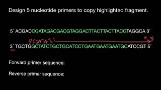 Forward and Reverse Primer design for beginners