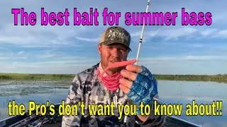Summer bass fishing tips - Pink flukes are your friends