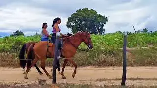 Ladies Riding Horses