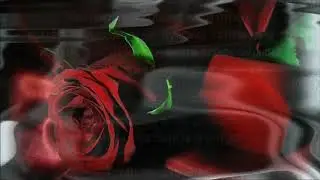 Туган конен белэн, Энием! Футаж