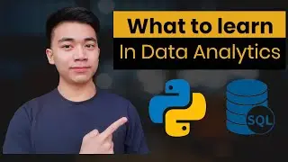 What Every Data Beginner Should Know: My Self-Study Journey in Data Analytics