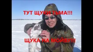 ЖЕРЛИЦЫ. ЩУКА НА МОЙВУ.