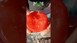 Желябовка . Местные помидоры 🍅!17.05.24