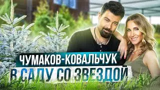 ЕЛЬ ГОЛУБАЯ КОЛЮЧАЯ ХУПСИ🌲 Сажают Алексей Чумаков и Юлия Ковальчук