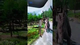Creating an immersive display#leddisplay #ledscreen #ledwall #indoorledscreen #immersiveexperience