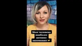 Мозг человека наиболее активно запоминает | Психологический факт про людей 