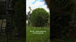 #стрижка