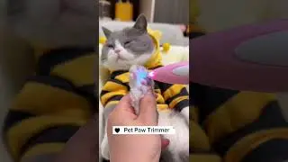 Pet Paw Trimmer With Led Lights, Link is on bio 