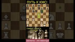 Путь к КМС! Учимся играть: Гамбит ЭВАНСА! #shorts