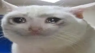 Top 5 Sad moments