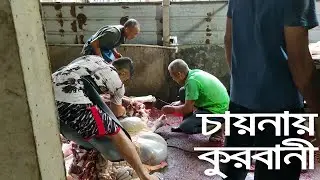 বাংলাদেশীদের চায়নায় কুরবানী Day of Bangladeshi Chinese Muslim Qurban Festival 2021古爾邦節 Bakra Eid2021