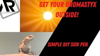 DIY Reptile Sun Pen