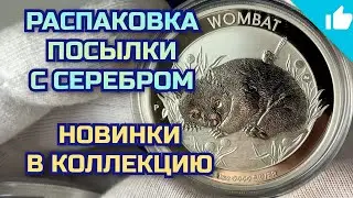 Новинки в коллекцию! Распаковка серебряных инвестиционных монет!