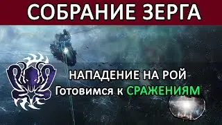 EVE Online: СОБРАНИЕ ЗЕРГОВ / НАПАДЕНИЕ и НАШИ планы