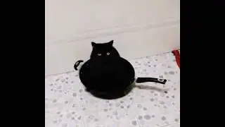 Фиолетовый Нольди