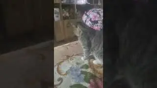 Это ламба а это Гелик