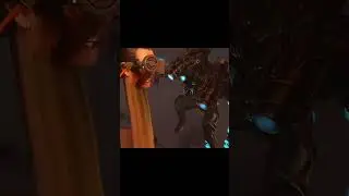 leader vs commander🗿🗿 