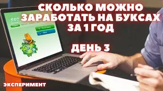 Заработок в интернете на буксах  Сколько можно заработать за 1 год  День 3