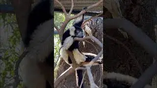 Слияние с бесконечной вечностью 