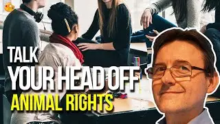 Do Animals Have Rights? | Discord/Twitch English Lesson