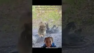 Why Humans Are Separated From Certain Animals 😰 