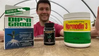 What's My Favorite Rooting Hormone for Propagating Plants?