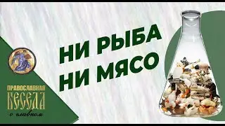 Ни рыба ни мясо. Хорошая еда? Плохая еда? Мясо без мяса молоко без молока.