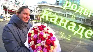 Роды за ДЕНЬ в Канаде или 101 роза/ВЫПИСКА из больницы/ КАК оформить СВИДЕТЕЛЬСТВО о рождении КАНАДЫ