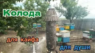 Забавный улей из упавшего дерева!