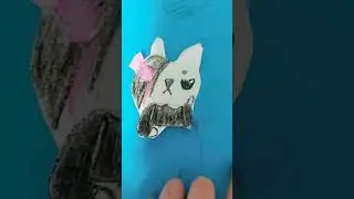 анимация из бумашки 