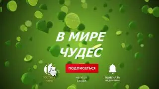 Новый футаж для Канала | В МИРЕ ЧУДЕС