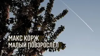 Малый Повзрослел (cover)